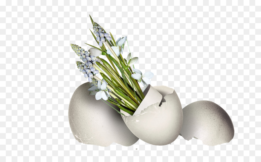 Blumen Stillleben Vase - Blume