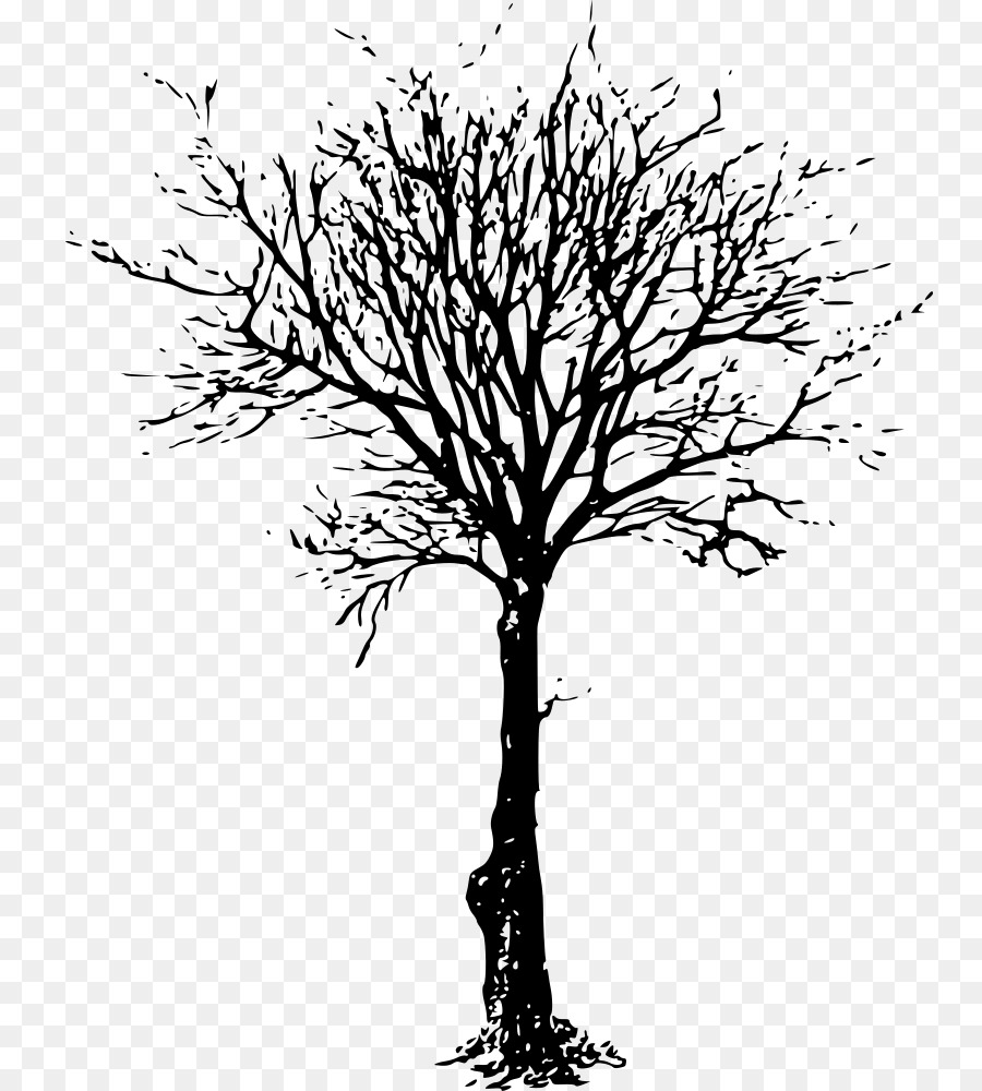 Cây Vẽ Clip nghệ thuật - cây