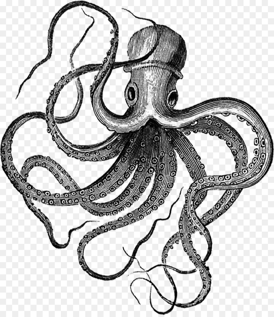 Blue-Ring-octopus Fou Club Druckgraphik Druck - Aquarell octopus