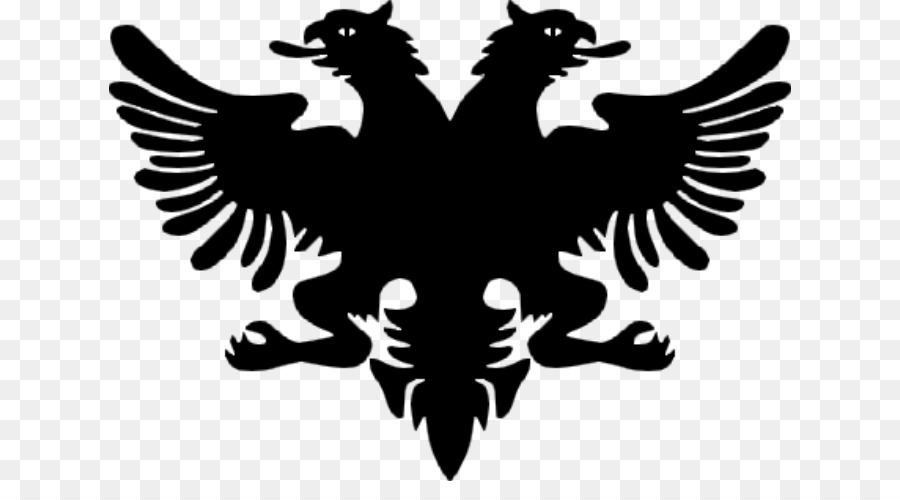 Bandiera dell'Albania Stemma della Nazionale albanese, bandiera - logoalbanaineagle