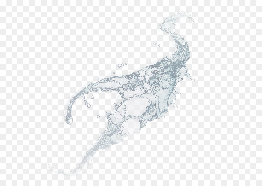 Zeichnung Wasser /m/02csf Organismus - Wasser