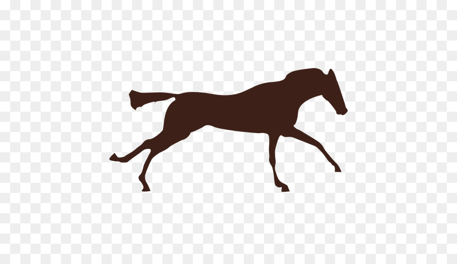 Mustang Galoppieren Motion Pony Fohlen - Mustang