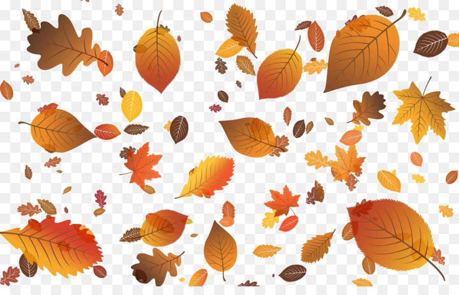 Herbst-Blatt, Farbe, Herbst Blatt-Farbe-Desktop-Wallpaper-Clip art - Blatt