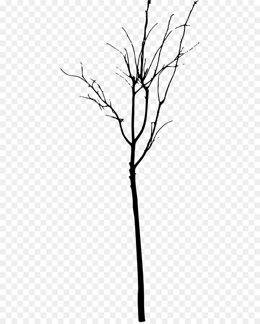 Twig Ramo di Albero di Clip art - albero