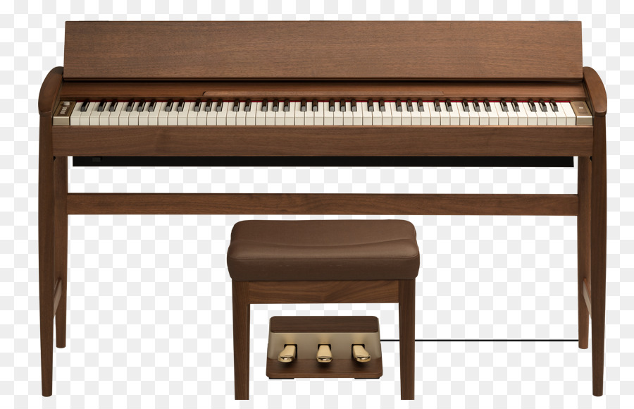 Digital piano Elettrico, pianoforte, tastiera Elettronica pianet affiancati Giocatore di pianoforte - pianoforte