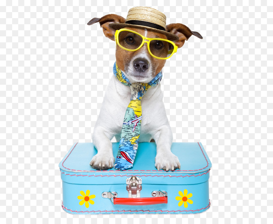 Ngồi vật nuôi Chó Con Đi du lịch - Con chó