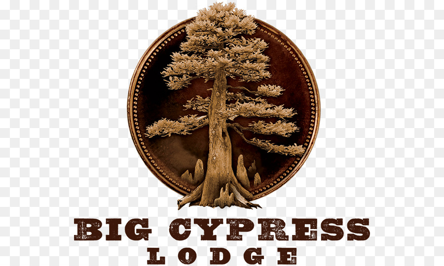 Big Cypress Lodge Unterkunft Hotel Branson Bass Pro Drive - Hotel