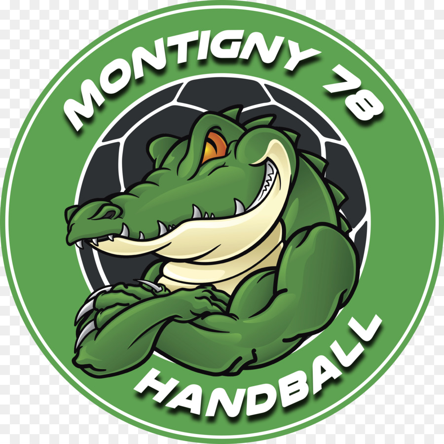 Montigny Le Bretonneux As Montigny le Bretonneux Handball männlich - Handball