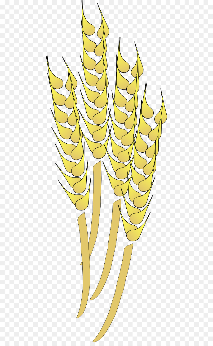 Wheat Cartoon png download - 512*1444 - Free Transparent Wheat png  Download. - CleanPNG / KissPNG