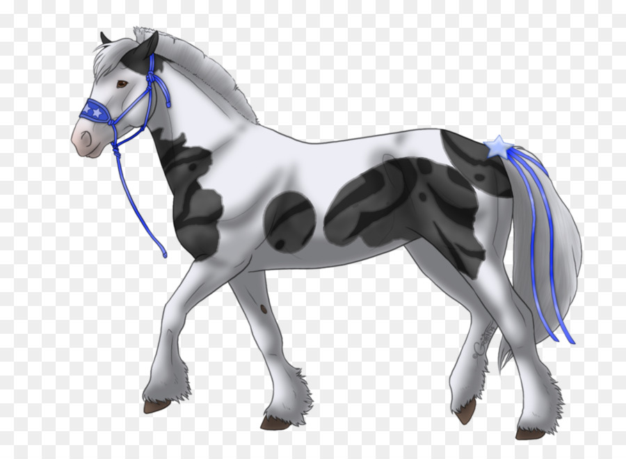 Ngựa Mustang Ngựa Con Ngựa Mare - mustang