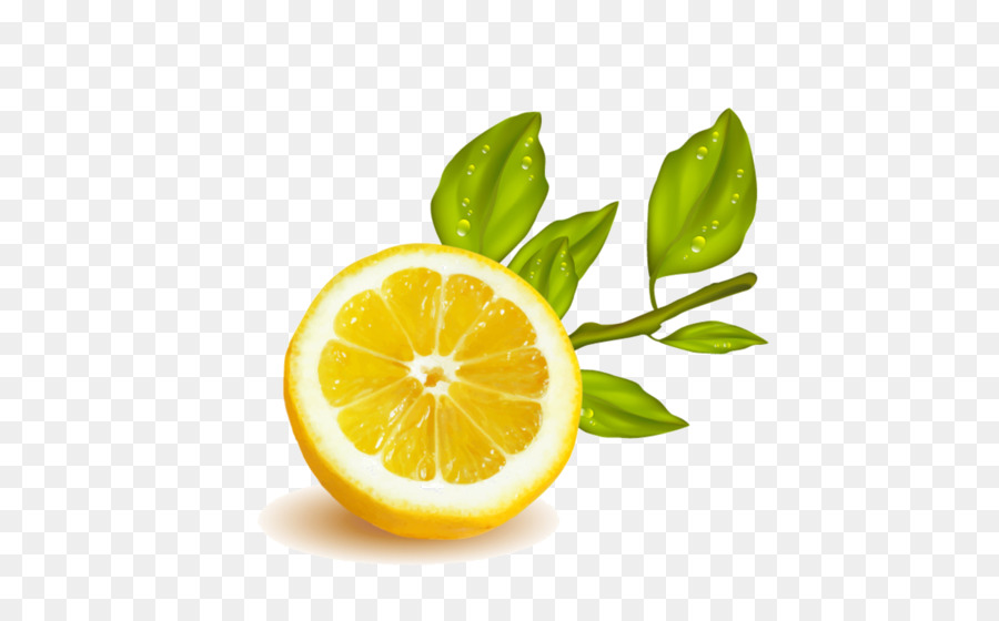 Zitrone-Limette trinken Rangpur Citrus junos - Zitrone