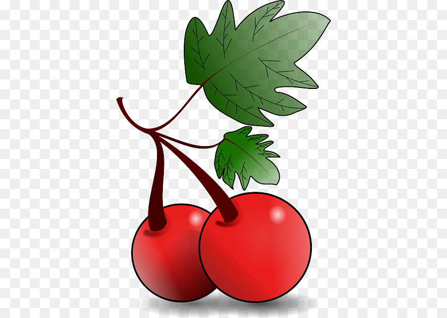 Obst-Download-clipart - andere