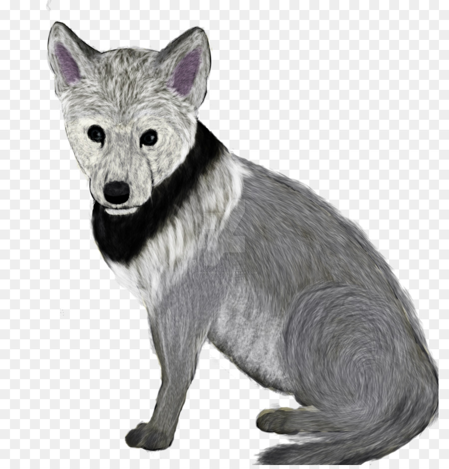 Đỏ fox Râu Lông Mõm - cáo