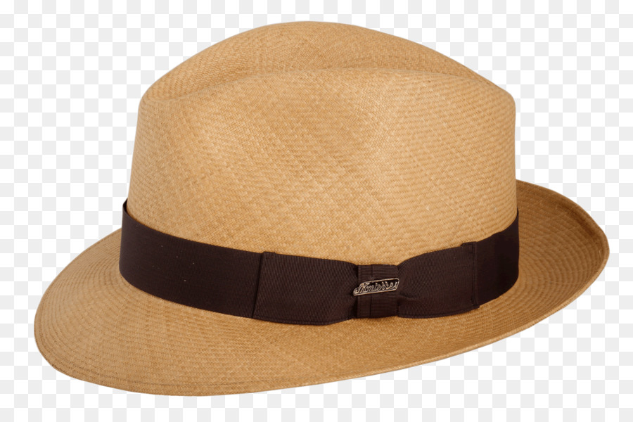 Fedora Carludovica palmata Panama Mũ - mũ