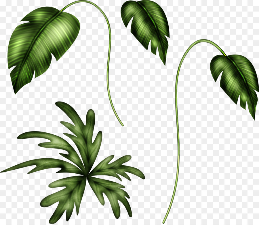 Chi nhánh Lá gốc Thực vật Clip nghệ thuật - lá
