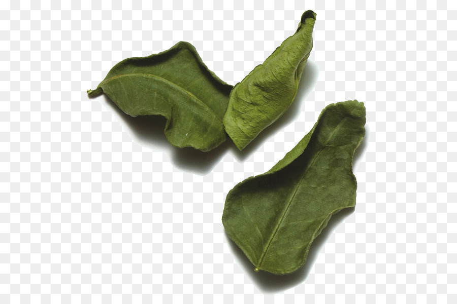 Tea Leaf