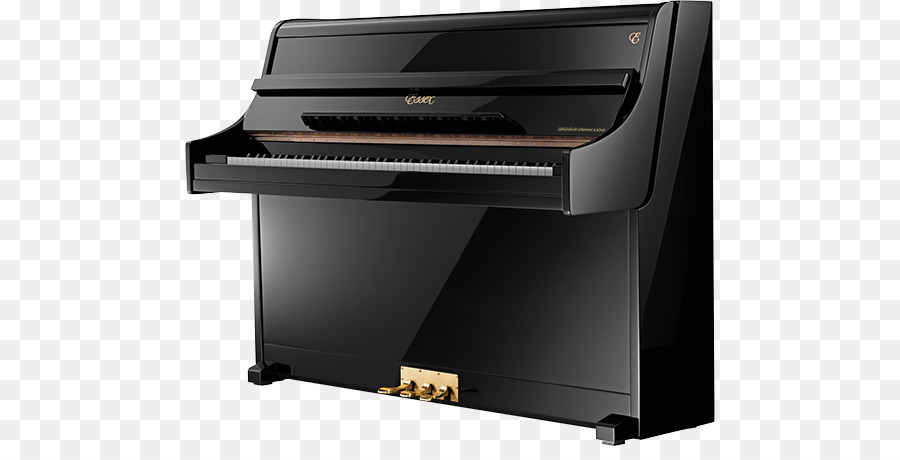 Digital piano Electric piano Player stock Pianet Celesta - Kontinental kronenmaterial