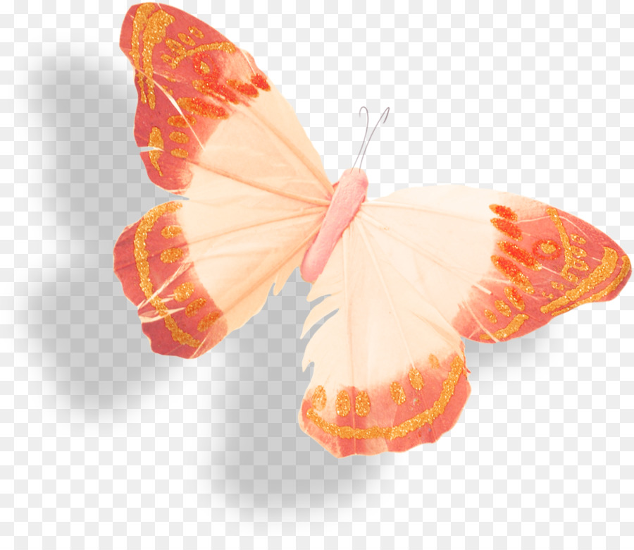 Sâu bướm bướm Côn trùng Clip nghệ thuật - bướm