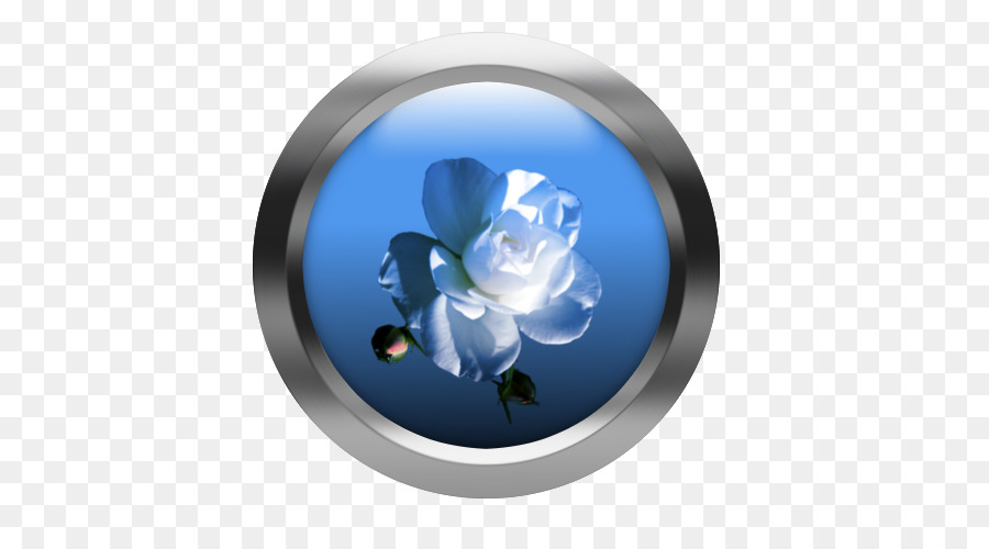 Rose Familie Cobalt blue Petal Flower - kreative Web Buttons