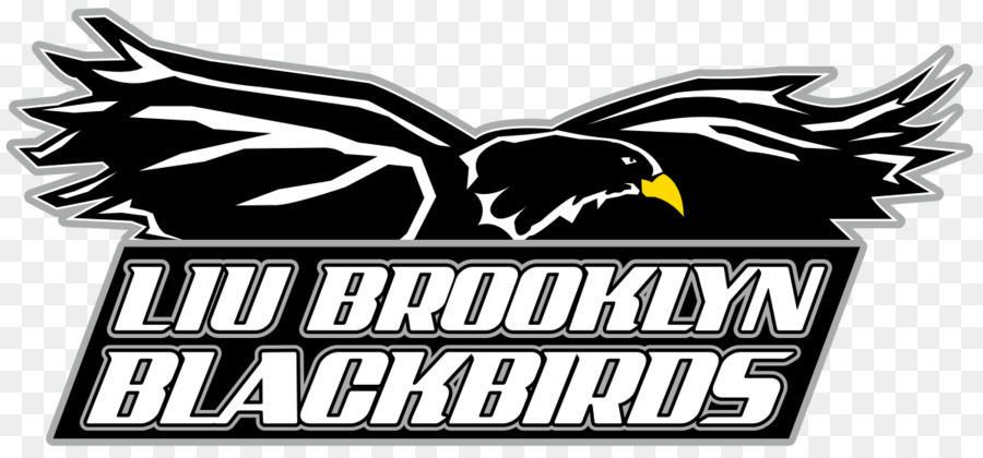 LIU Brooklyn Blackbirds der Frauen basketball Long Island University LIU Brooklyn Blackbirds men ' s basketball St. Francis College - andere