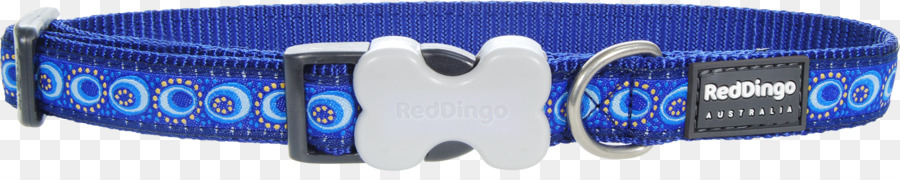 Dingo Hundehalsband Leine Dackel - Blauer Kragen