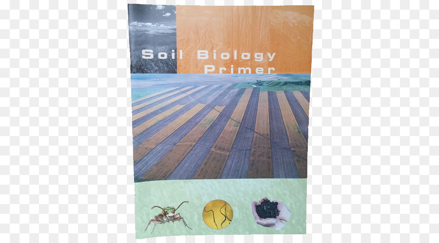 Biologia del suolo Microbiologia del suolo Salute del suolo - terra terreno