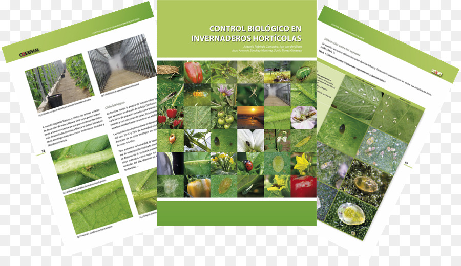 Biologische Schädlingsbekämpfung-Biologie-Brand-Broschüre - biologische