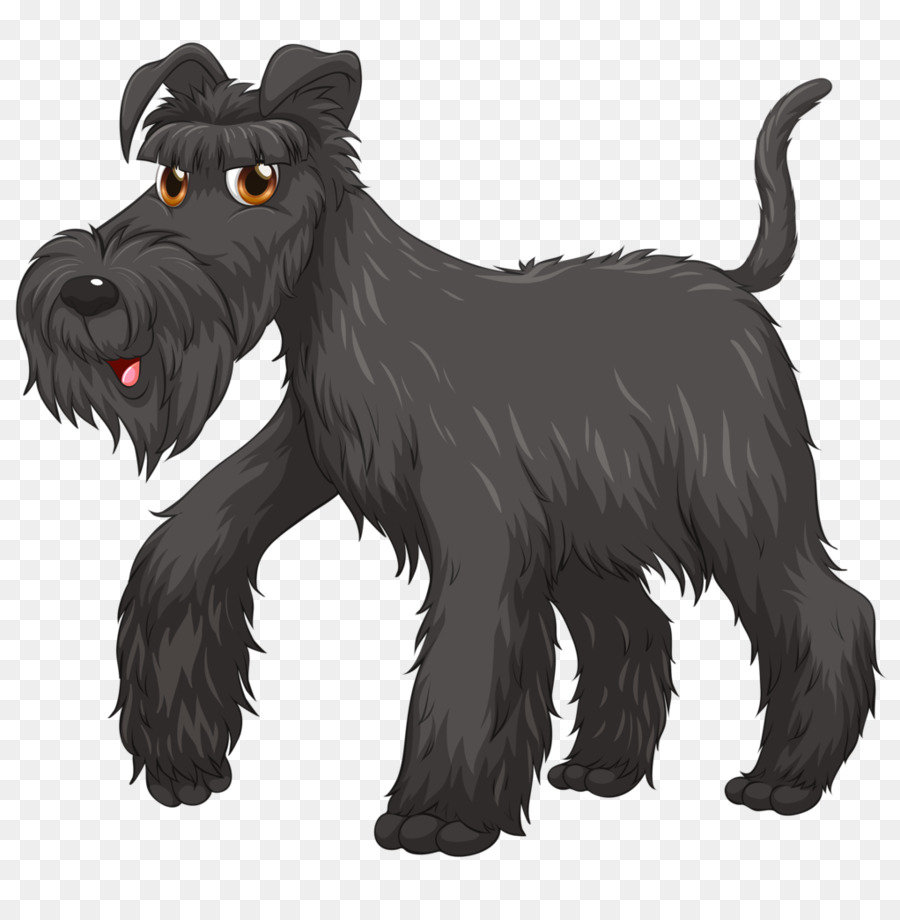 Zwergschnauzer Scottish Terrier Steinhaufen Riesenschnauzer Standard Schnauzer - Hund Muster