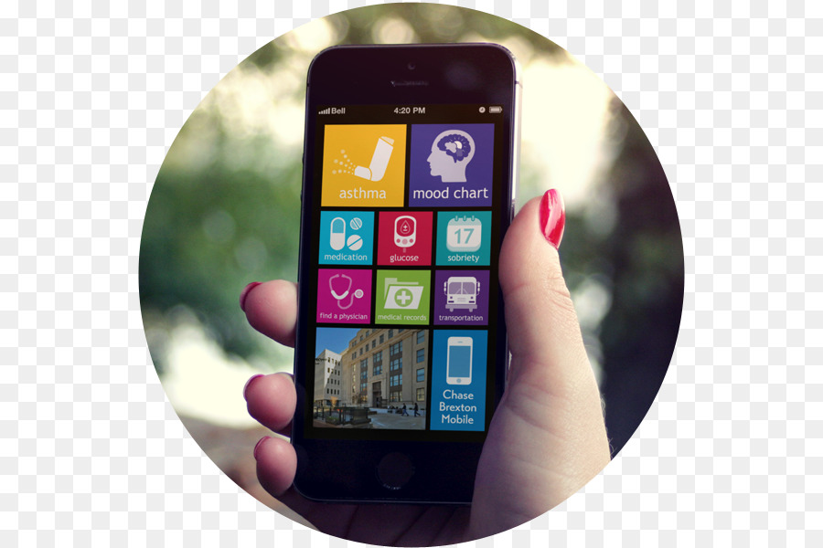 Feature Phones, Smartphones und Handheld Geräte - Smartphone