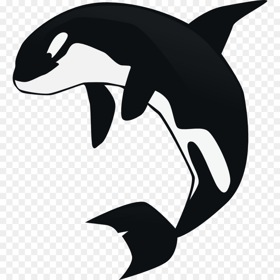 Clip art di cetacei della balena di assassino - Balena assassina