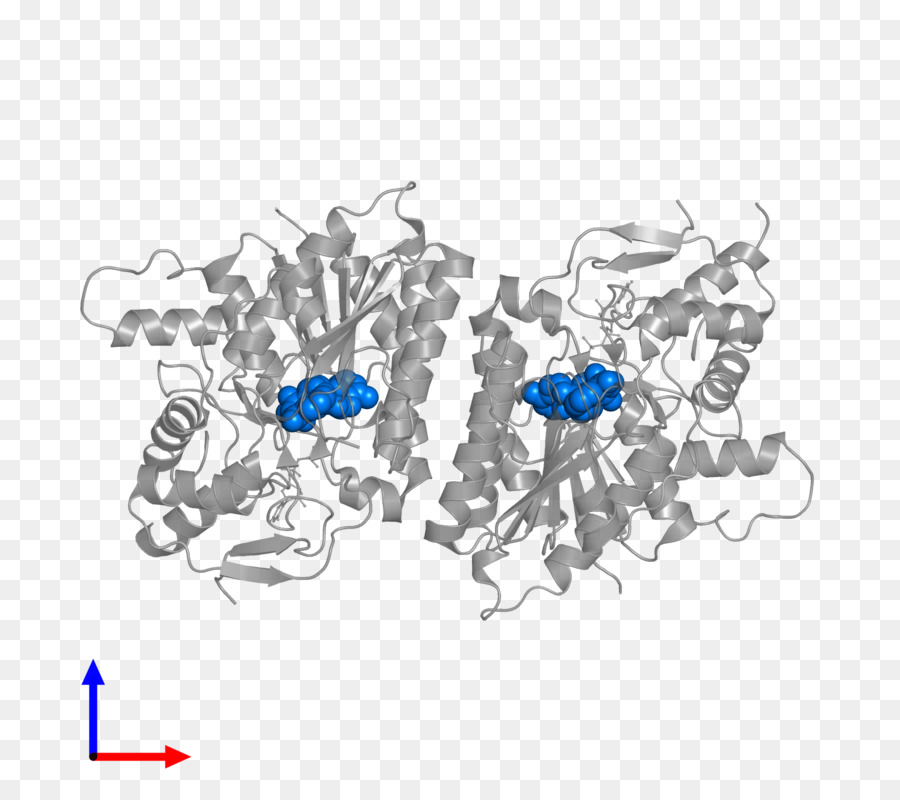 Kobalt Blaue Körper Schmuck Schriftart - Flavin Adenin dinucleotid
