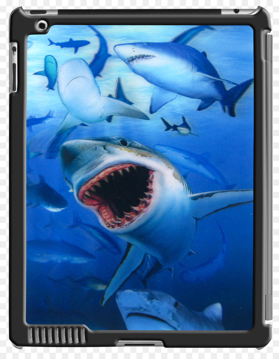 Mập trắng, iPad 3 2 Một in Thấu kính ống kính - cá mập 3d