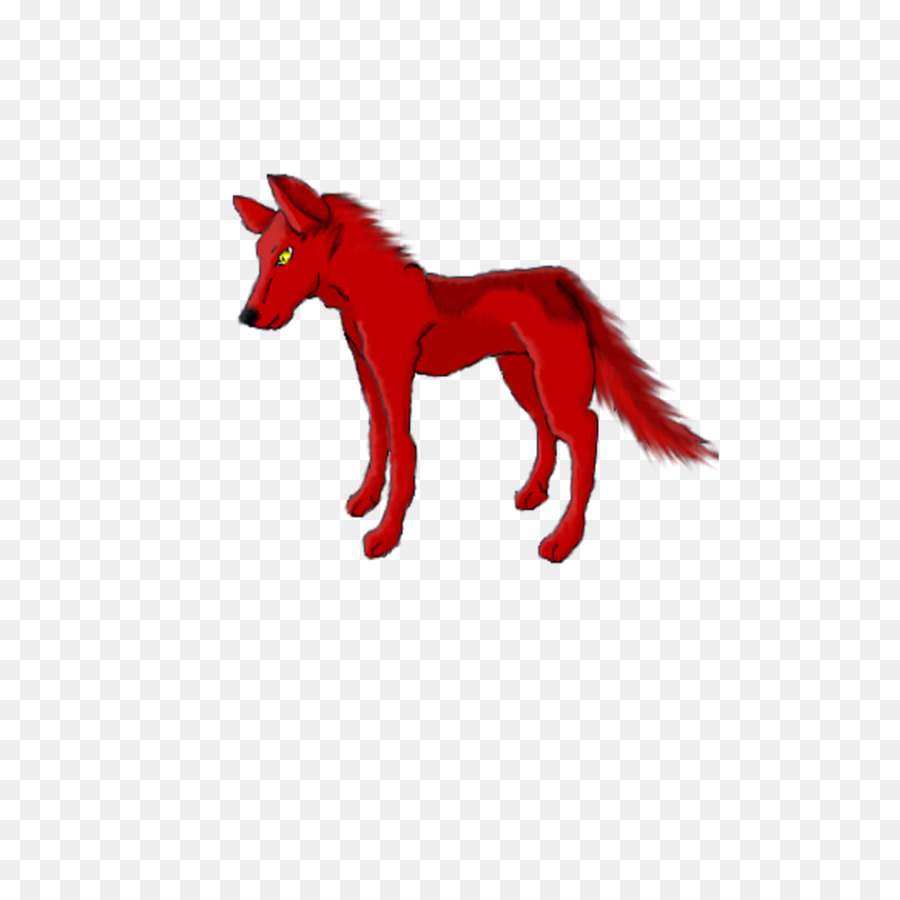 Mustang Canidae Hund Schnauze Freikörperkultur - Mustang