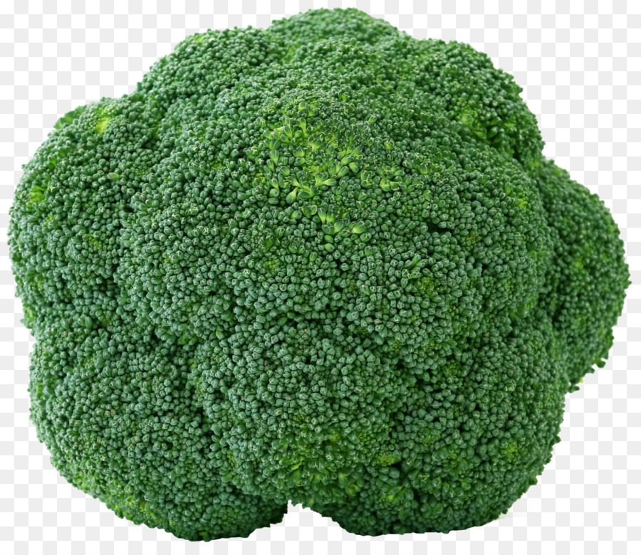 Brokkoli Bio-Lebensmittel die Indische Küche Gemüse Obst - Brokkoli