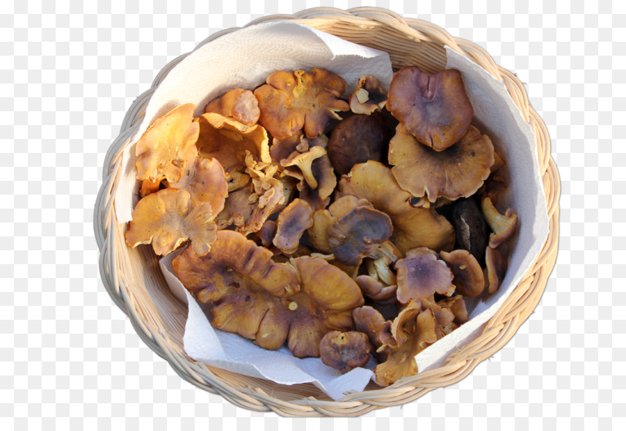 Ingrediente Ricetta - cantharellus come foody