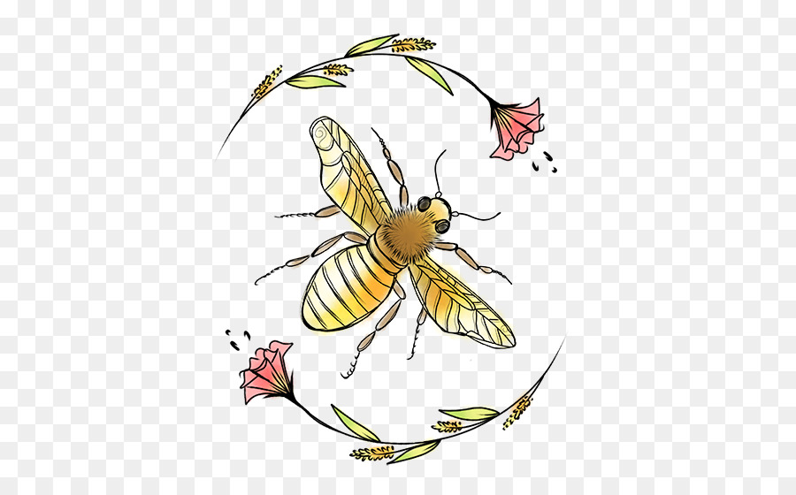 Honig Biene Schmetterling 2M - Brasilien element
