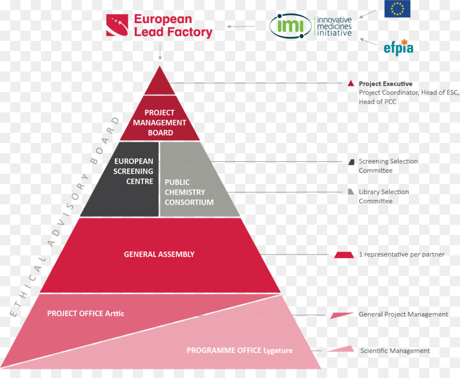 La gestione del progetto Governance Consiglio di amministrazione responsabile Europeo di Fabbrica - Governance