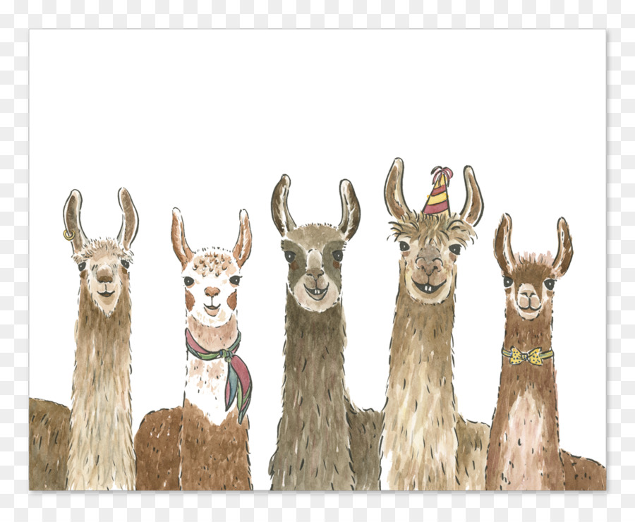 Llama Alpaca Cưới lời Chào mời Và Thẻ ghi Chú Sinh nhật - Sinh nhật
