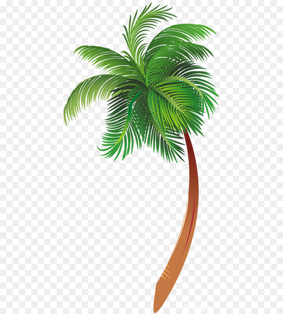 Coconut Tree Drawing