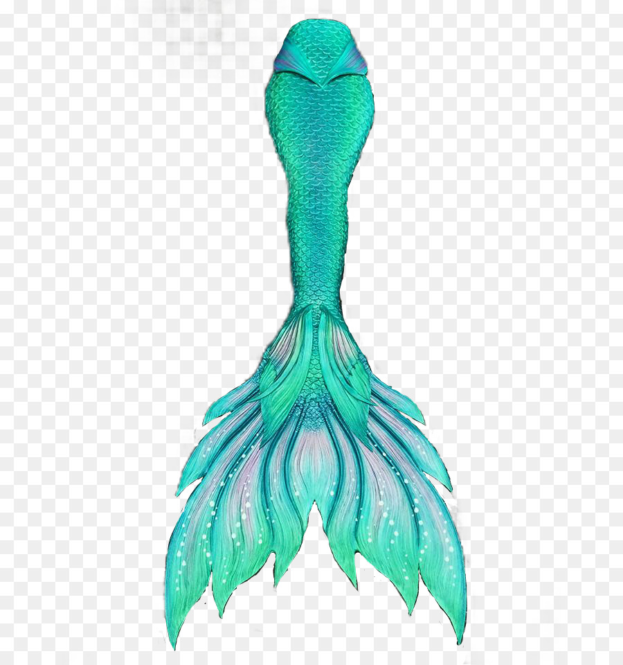Mermaid Tail Merman Finfolk Legende - Meerjungfrau