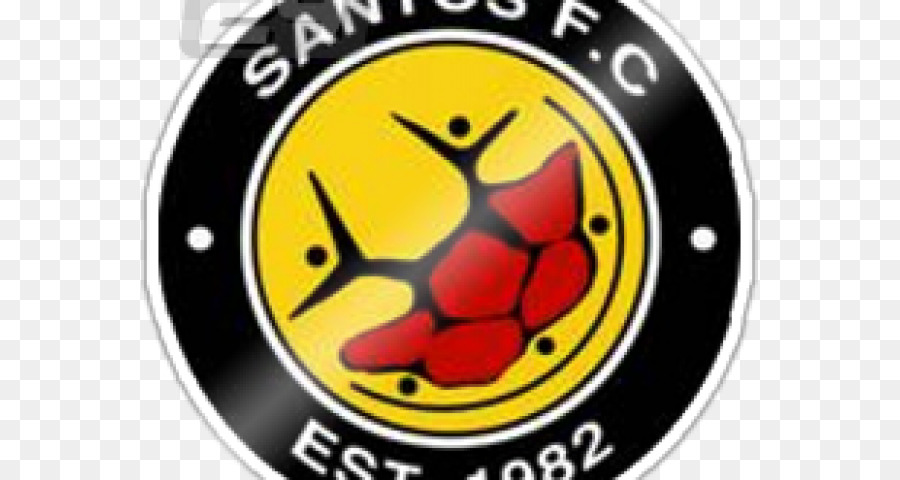Santos F. C. SAFA Zweitliga National First Division Chief Santos Cape Town - Santos FC