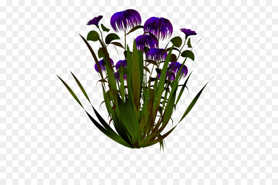 Fiori recisi di piante Fiorite Vaso di fiori - altri