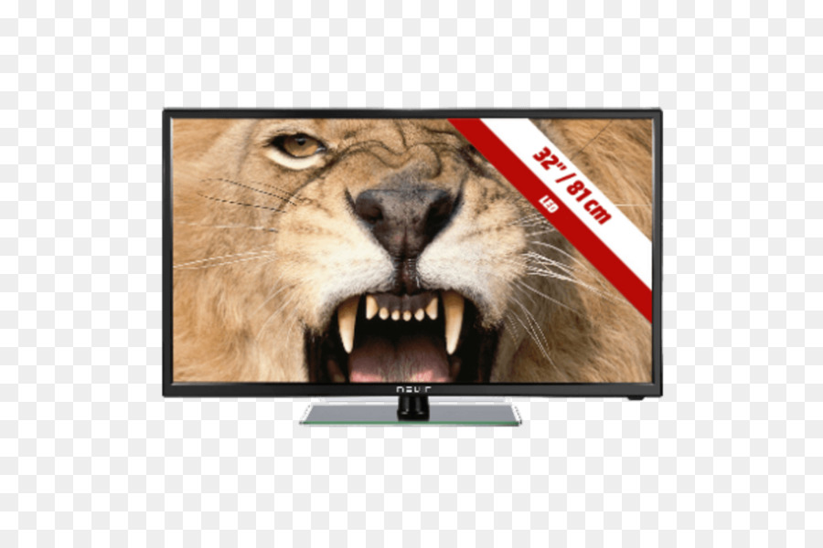 TV NEVIR 20 12V USB Nero LED-backlit LCD HD ready HDMI High-definition television - USB