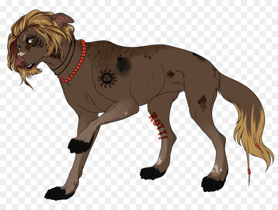 Cane di razza Lion Big cat - leone