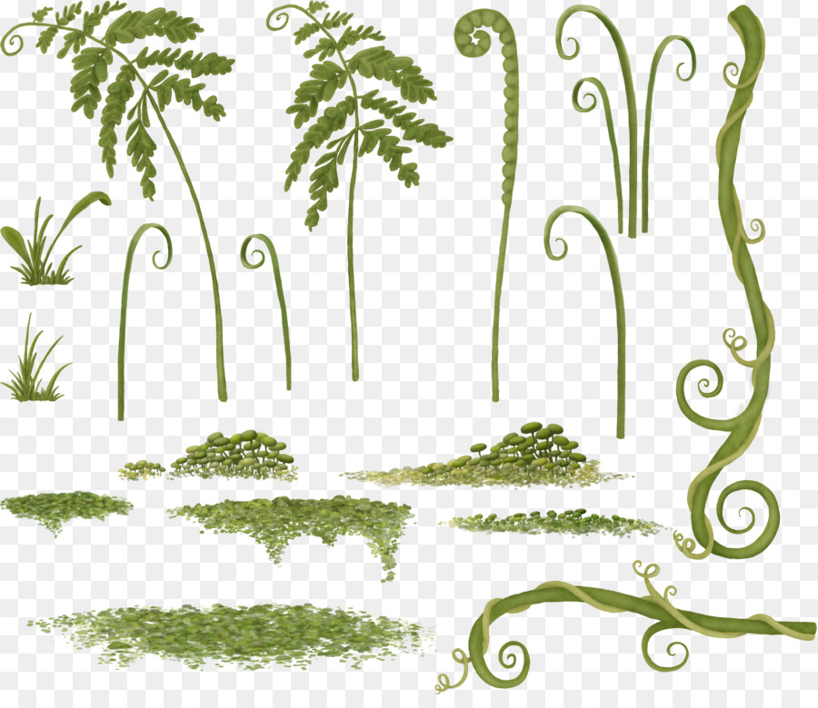 Cỏ thiết kế Hoa gốc Thực vật Clip nghệ thuật - cỏ