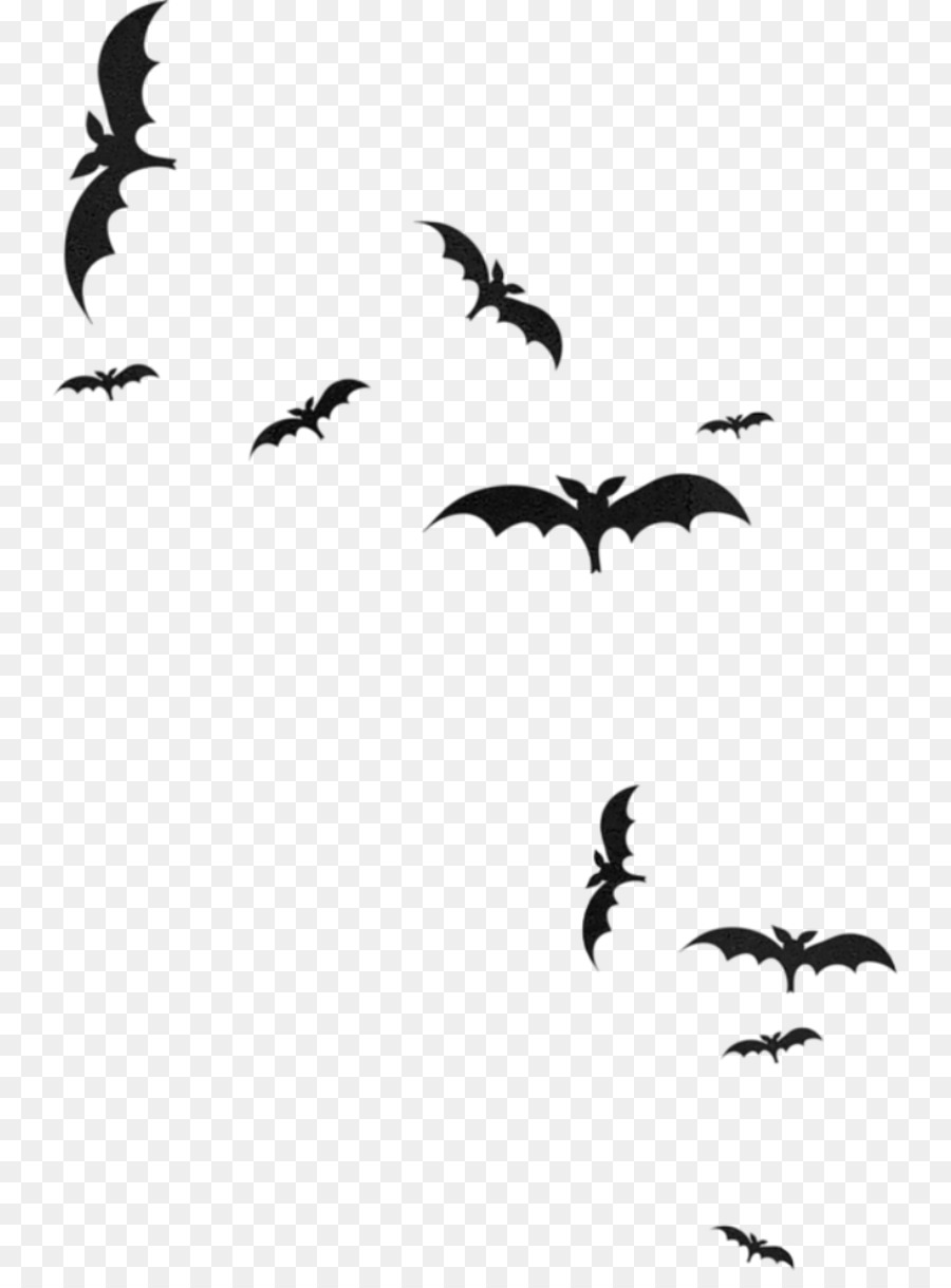 Bat Bird