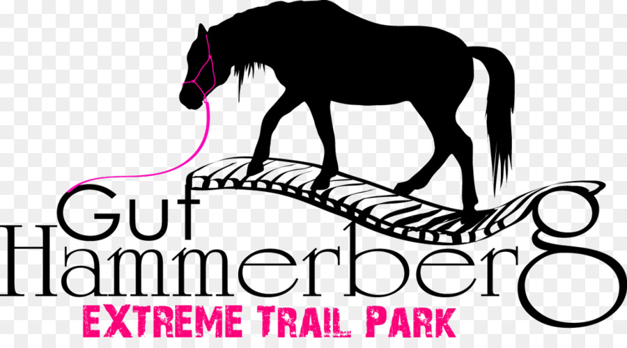 Extreme Trail Park Gut Hammerberg Reithalle Gut Bösenburg Pony of the Americas - park trail