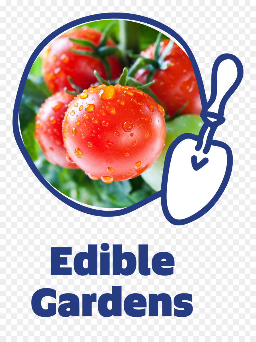 Nudeln mit tomaten-Tamarillo Cherry tomato Fruit Photography - Garten logo