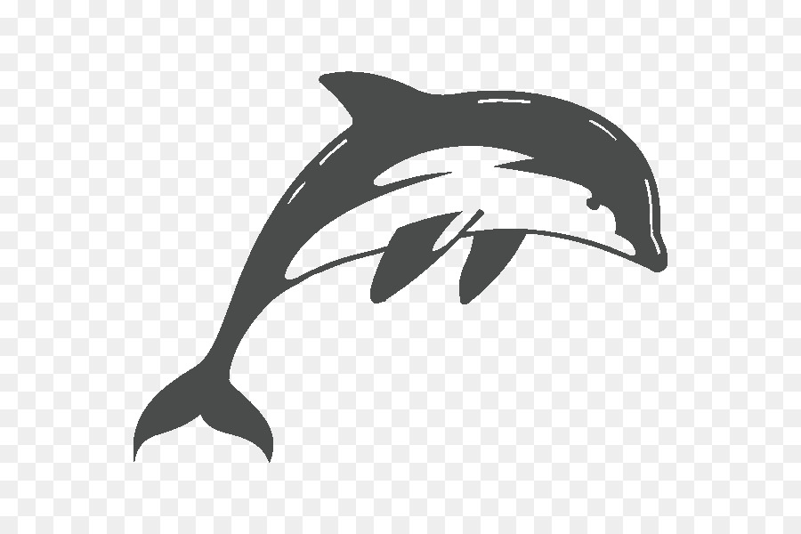 Short-beaked common dolphin Wand Aufkleber - Delphin