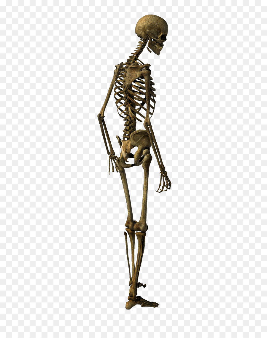 Bronze Sculpture Skeleton